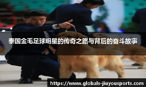 泰国金毛足球明星的传奇之路与背后的奋斗故事